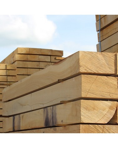 Pack of 50 Siberian Larch Sleepers 600mm x 200mm x 100mm FREE DELIVERY 